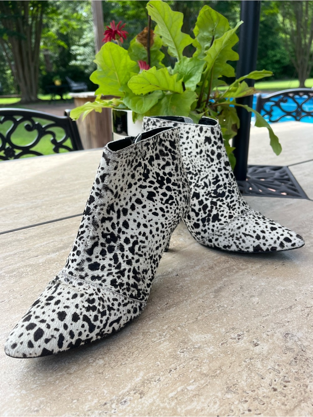 Matisse Black & White Dalmatian Print Pointed Ankle Booties
